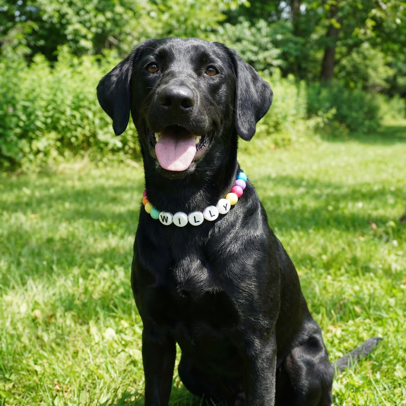 Handmade Friendship Bracelet & Collar